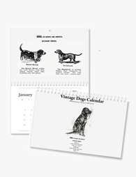 2026 Vintage Dogs Art Wall Calendar