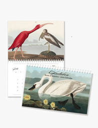 2026 John James Audubon Birds of America Art Wall Calendar