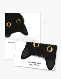 2026 Wall Art Calendar - Peekaboo Cats