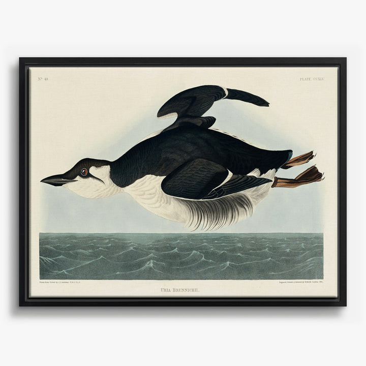 Animali Selvatici Stampe su Tela