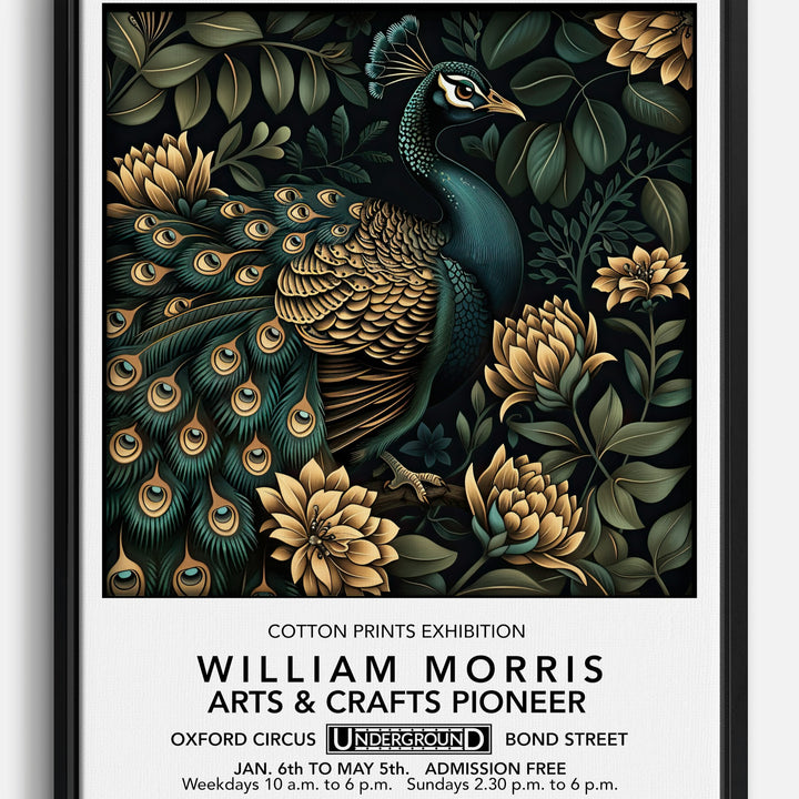 Peacock Canvas Prints