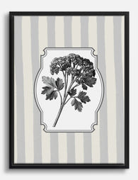 Elegant Parsley Botanical Canvas Print Black