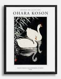 Koson’s Serene Swans Canvas Print Black