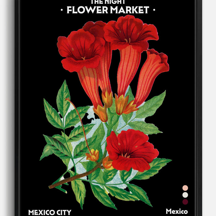 Mexico Canvas Prints