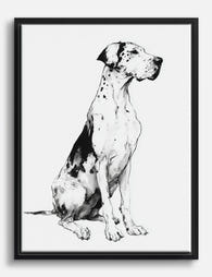 Majestic Great Dane Portrait Canvas Print Black