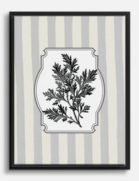 Artemisia Botanical Elegance Canvas Print Black