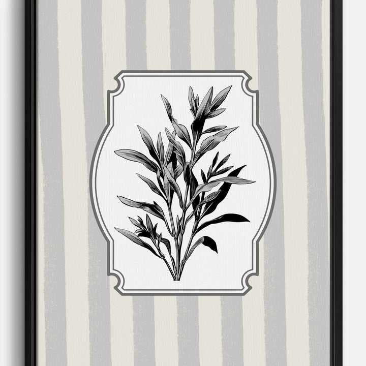 Kräuter Leinwandbilder