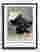 Kamisaka Sekka Snowfall Canvas Print - Black