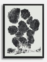 Modern Canopy Cluster Canvas Print Black