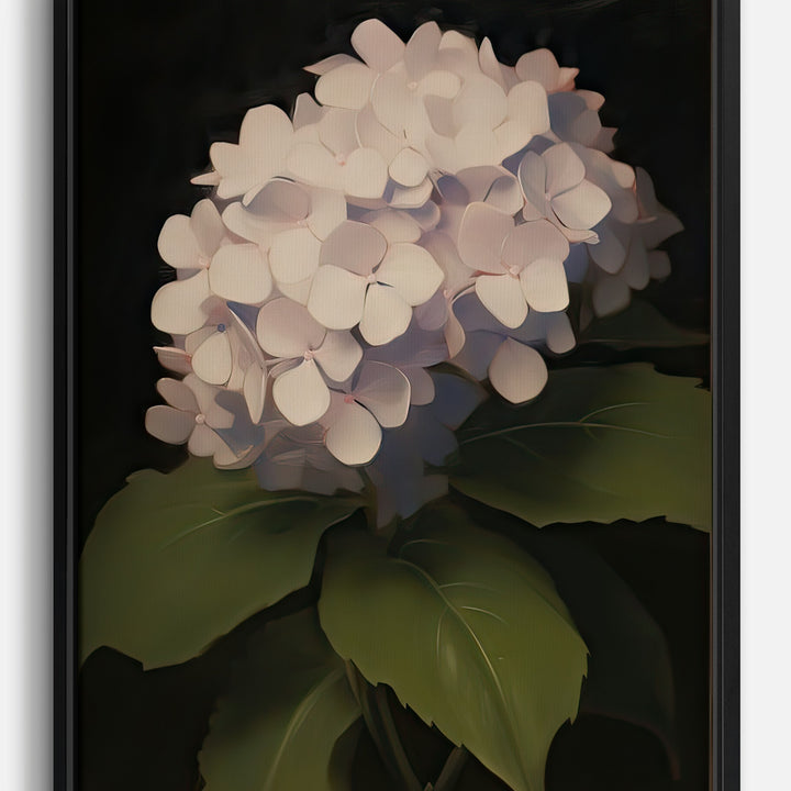 Hydrangea Canvas Prints