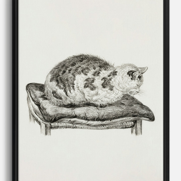 Furniture Canvas Prints