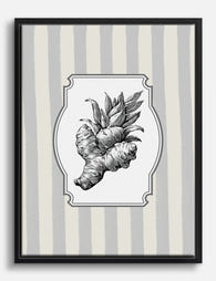 Vintage Ginger Botanical Canvas Print Black