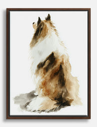 Gentle Collie Gaze Canvas Print Brown