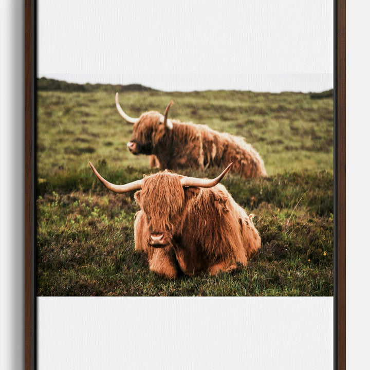 Scotland Canvas Prints