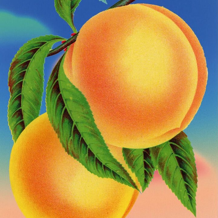 Dining Room Canvas Prints