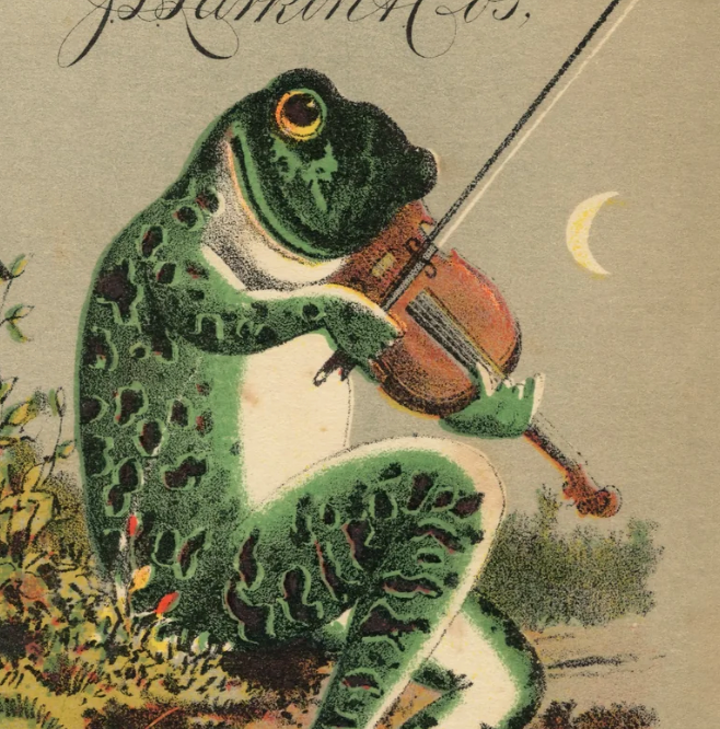 Frog Art Prints