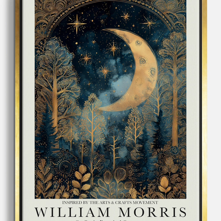 Night Sky Canvas Prints