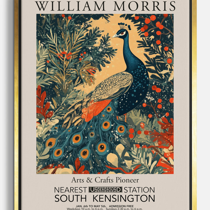 Peacock Canvas Prints