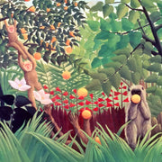 Láminas de selva