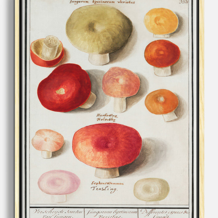 Cottagecore Canvas Prints