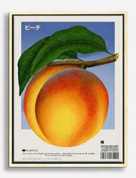 Juicy Elberta Peach Canvas Print Oak