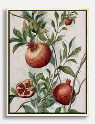 Pomegranate Botanical Bliss Canvas Print Oak