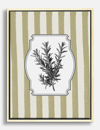 Rosemary Botanical Stripe Canvas Print Oak