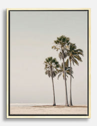 Serene Coastal Palms Canvas Print Oak