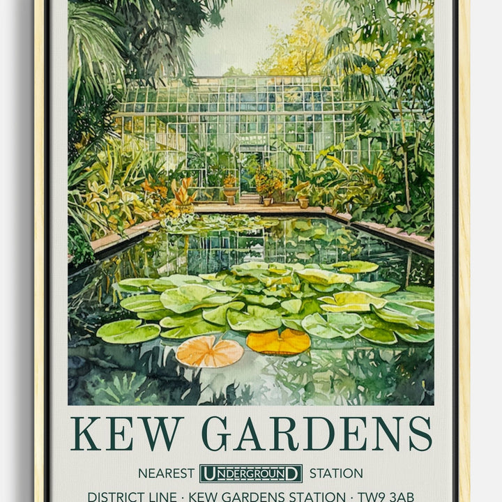 Waterlilies Canvas Prints