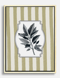 Bay Laurel Botanical Canvas Print Oak