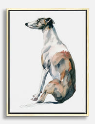 Elegant Whippet Portrait Canvas Print Oak