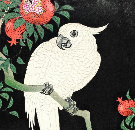 Ohara Koson Art Prints
