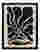 Flowing Black Petal Art Print Black