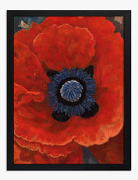 Scarlet Poppy Bloom Art Print - Black