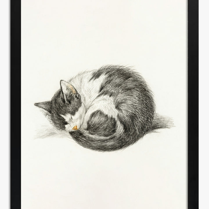 Jean Bernard Art Prints