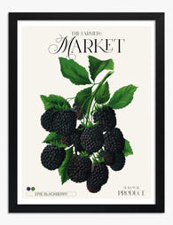 Erie Blackberry Market Art Print Black Frame
