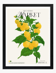 Golden Queen Raspberries Art Print Black Frame