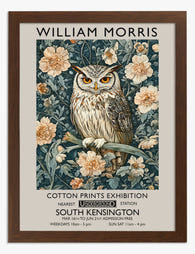Morris Owl Elegance Art Print - Brown