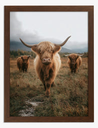 Highland Calm Art Print - Brown