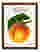 Elberta Peach Market Art Print Brown Frame