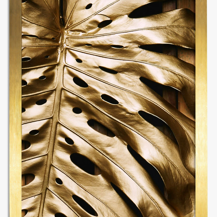 Láminas de Monstera