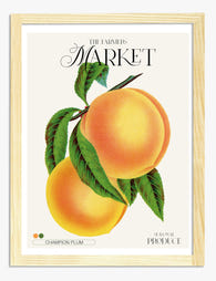 Champion Plum Delight Art Print Oak Frame