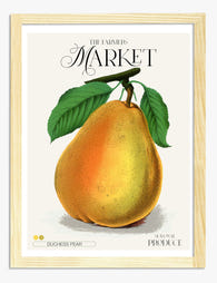 Duchess Pear Delight Art Print Oak Frame