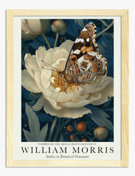 Morris Botanical Butterfly Art Print - Oak