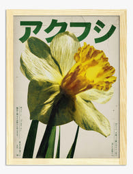 Retro Daffodil Bloom Art Print - Oak