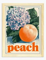 Vintage Peach Botanical Art Print - Oak