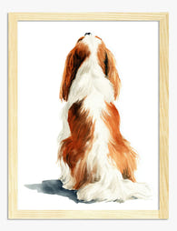 Regal Spaniel Watercolor Art Print Oak