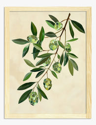 Olive Branch Mosaic Art Print - Oak