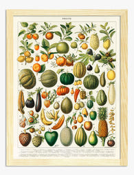 Vintage Fruit Medley Art Print - Oak