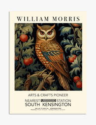 William Morris Owl Elegance Art Print - Unframed